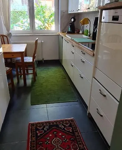 Nana-eg-80m2 Sanierter Altbau-parkplatz-kleiner Garten-wlan-netflix-2zimmer-kueche-dusche-wanne-waschmaschine Appartement