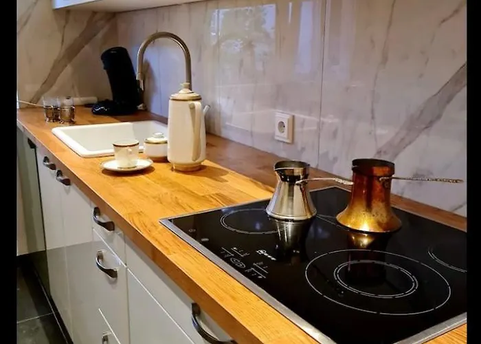 Nana-eg-80m2 Sanierter Altbau-parkplatz-kleiner Garten-wlan-netflix-2zimmer-kueche-dusche-wanne-waschmaschine Appartement Oberhausen (North Rhine-Westphalia)